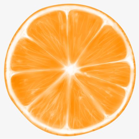 Illustration of a lemon or orange on an isolated background. Drawing by hand.のイラスト素材