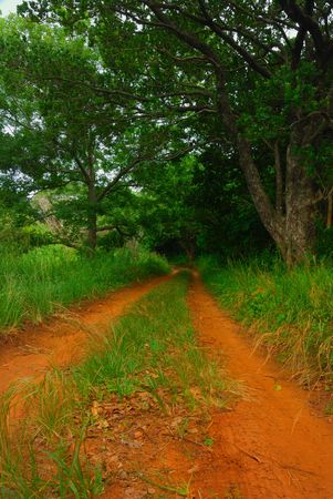 Gravel roadの写真素材
