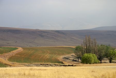 Plowed fields, Clarens, South Africaの写真素材