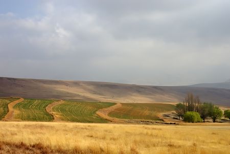Plowed fields, Clarens, South Africaの写真素材
