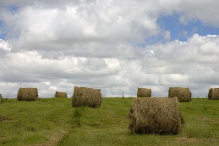 Hay fieldの写真素材