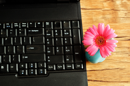 Laptop with a pink Gerbera in a blue flower potの写真素材