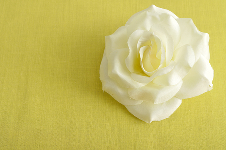 An artificial rose on a yellow backgroundの写真素材