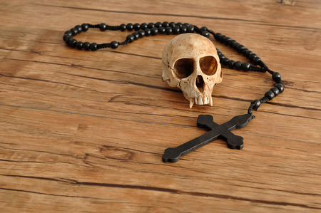 Vervet monkey skull with rosary beadsの写真素材