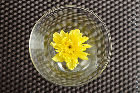 A yellow aster in a glass isolated on a black backgroundの写真素材