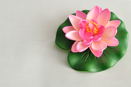 An artificial water Lilly isolated on a white backgroundの写真素材