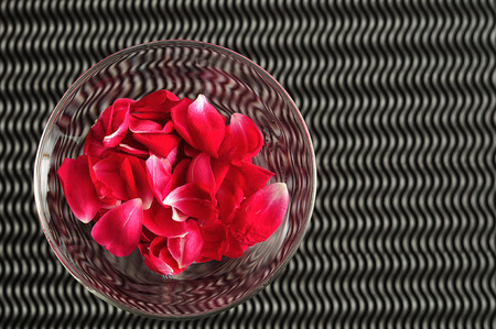 A glass filled with red rose petalsの写真素材