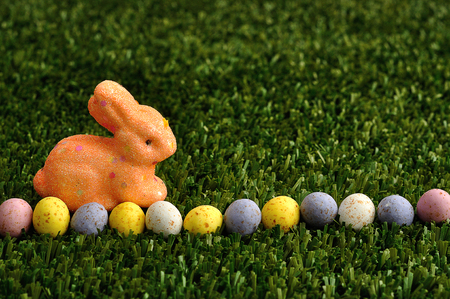 An orange bunny with a row of speckled easter eggs 