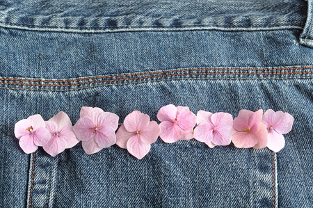 A back pocket of a denim jeans where the seam is decorated with pink Hydrangea flowers