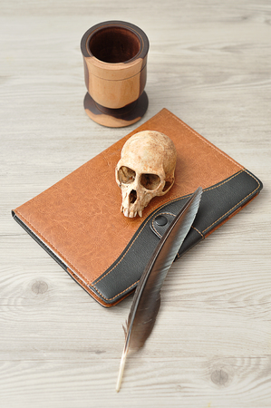 A vervet monkey skull with a book, quill and a wooden mugの写真素材