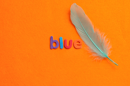A blue feather with the word blue on an orange backgroundの写真素材