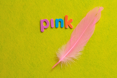 A pink feather with the word pink on a yellow backgroundの写真素材
