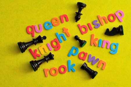 All the different chess pieces with there names on a yellow backgroundの写真素材