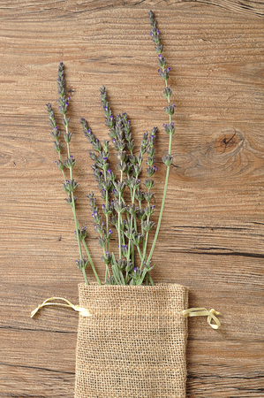 A bunch of lavender in a bagの写真素材