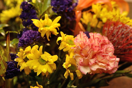 A carnation that is part of a colorful bouquetの写真素材