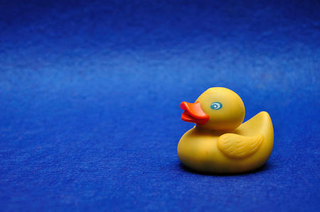 A rubber duck on a blue backgroundの写真素材
