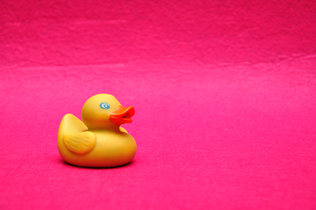 A rubber duck on a pink backgroundの写真素材