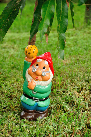 A garden gnome in a gardenの写真素材