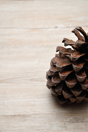 A pine cone on a wooden backgroundの写真素材
