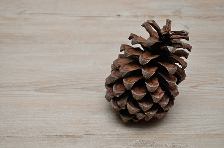A pine cone on a wooden backgroundの写真素材