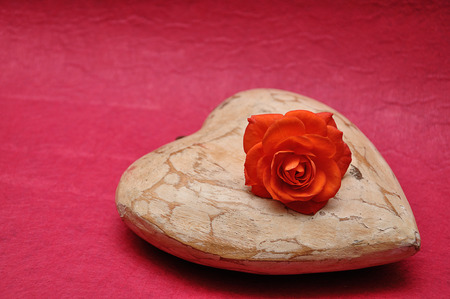 A wooden heart displayed with an orange roseの写真素材