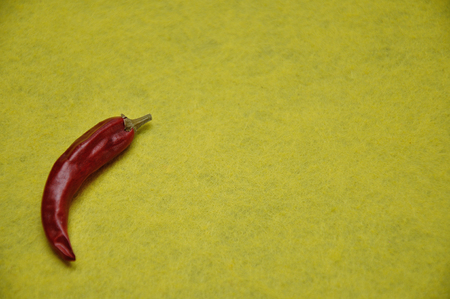 A red sun dried chilli isolated on a yellow backgroundの写真素材