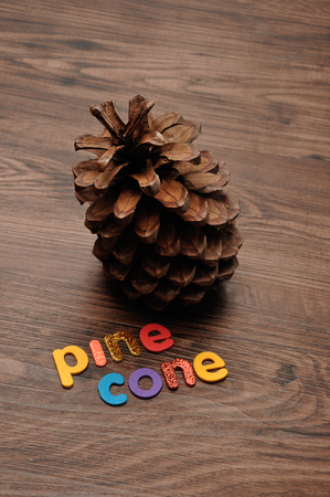 A pine cone on a wooden background with the word pine coneの写真素材