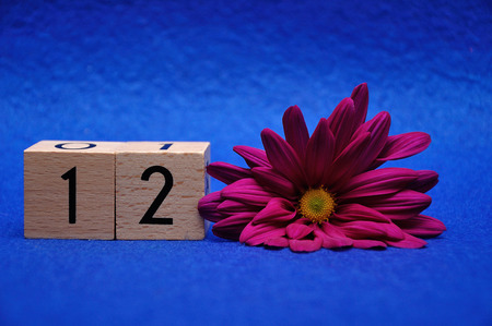 Number twelve with a purple daisy on a blue background