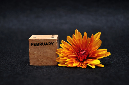 February on a wooden block with an orange daisy on a black backgroundの写真素材