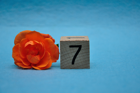 Number seven with an orange rose on a blue backgroundの写真素材