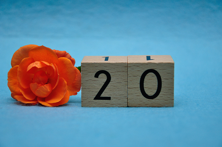 Number twenty with an orange rose on a blue backgroundの写真素材