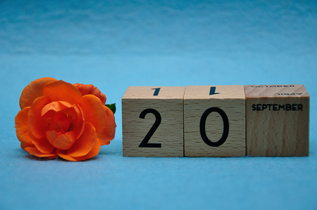 20 September on wooden blocks with an orange rose on a blue backgroundの写真素材