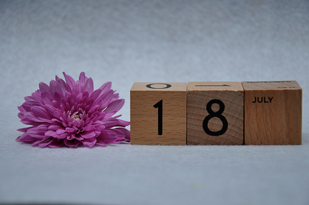 18 July on wooden blocks with a pink daisy on a white backgroundの写真素材