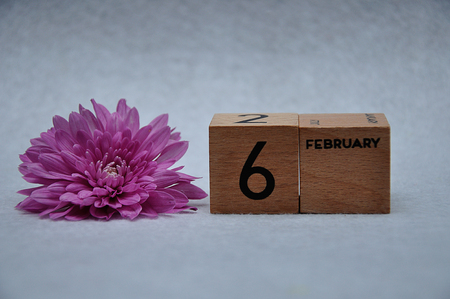 6 February on wooden blocks with a pink daisy on a white backgroundの写真素材