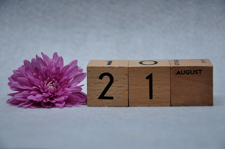 21 August on wooden blocks with a pink daisy on a white backgroundの写真素材