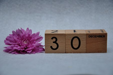 30 December on wooden blocks with a pink daisy on a white backgroundの写真素材