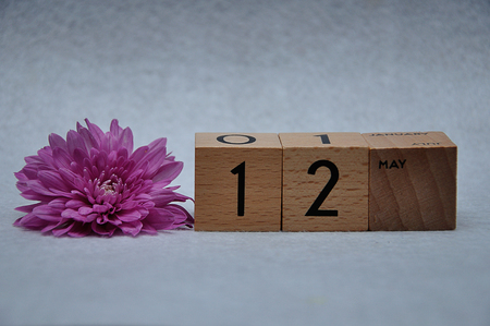 12 May on wooden blocks with a pink daisy on a white backgroundの写真素材