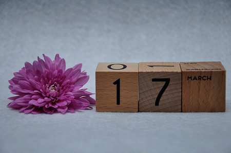 17 March on wooden blocks with a pink daisy on a white backgroundの写真素材