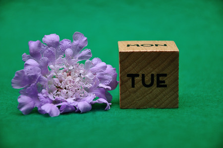 The abbreviation for tuesday on a wooden block with a purple flower on a green backgroundの写真素材