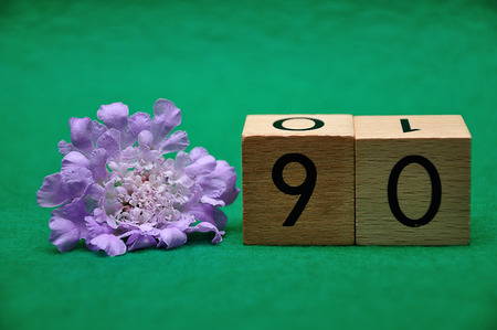 Number ninety with a purple flower on a green backgroundの写真素材