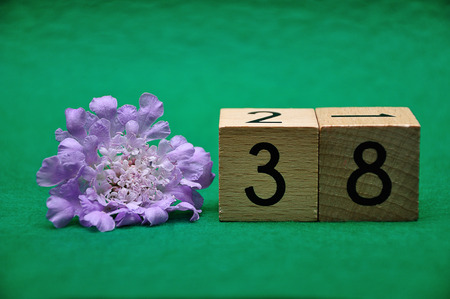 Number thirty eight with a purple flower on a green backgroundの写真素材