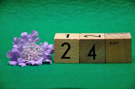 24 July on wooden blocks with a purple flower on a green backgroundの写真素材