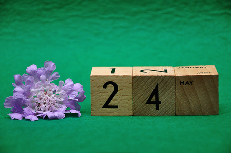24 May on wooden blocks with a purple flower on a green backgroundの写真素材