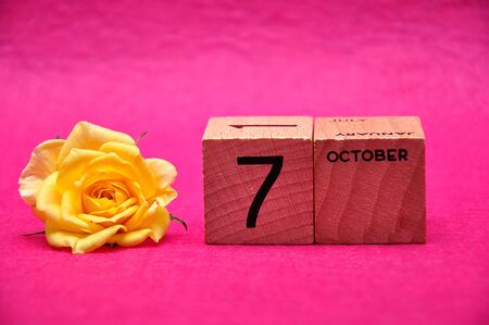 7 October on wooden blocks with a yellow rose on a pink backgroundの写真素材