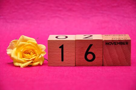 16 November on wooden blocks with a yellow rose on a pink backgroundの写真素材