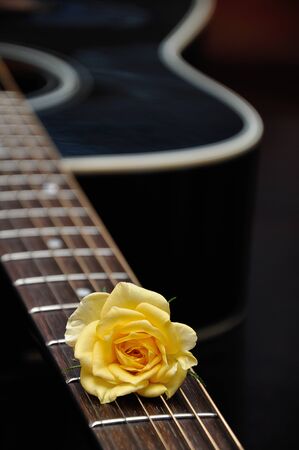 A yellow rose displayed with a guitarの写真素材
