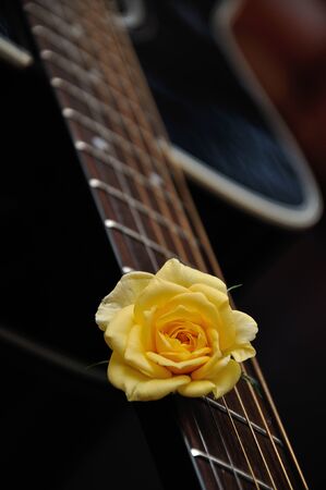 A yellow rose displayed with a guitarの写真素材