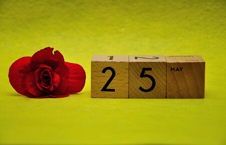 25 May on wooden blocks with a red flower on a yellow backgroundの写真素材