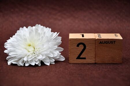2 August on wooden blocks with a white aster on a brown backgroundの写真素材