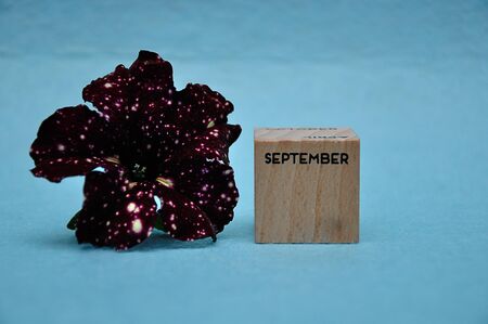 September on a wooden block with a purple petunia on a blue background